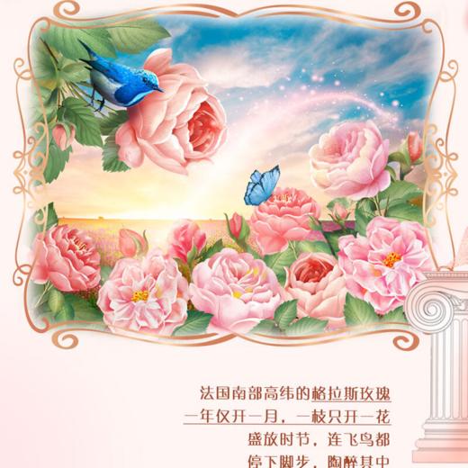 DH 立白大师香氛洗衣皂 180g*2块*1组 商品图2