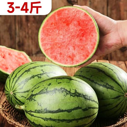 【预售】3-4斤左右小糖丸西瓜 139043 商品图0