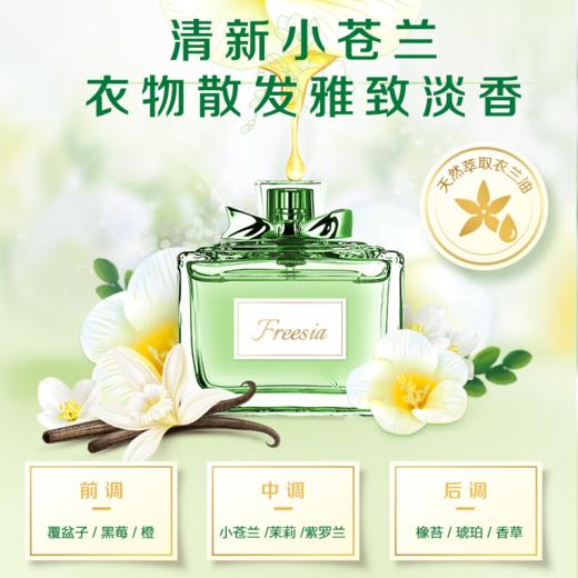 DH 立白柔顺香氛洗衣液 500g*1袋 商品图3