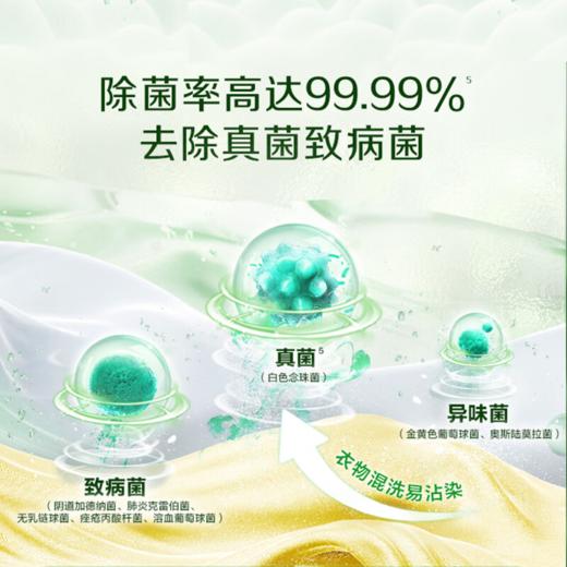 DH 立白卫仕除菌洗衣液青翠茶园 2kg*1瓶 商品图3