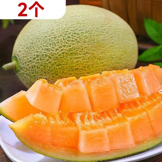【预售】2个 海南西州蜜瓜个（约3.5斤左右/个） 188787 商品图0