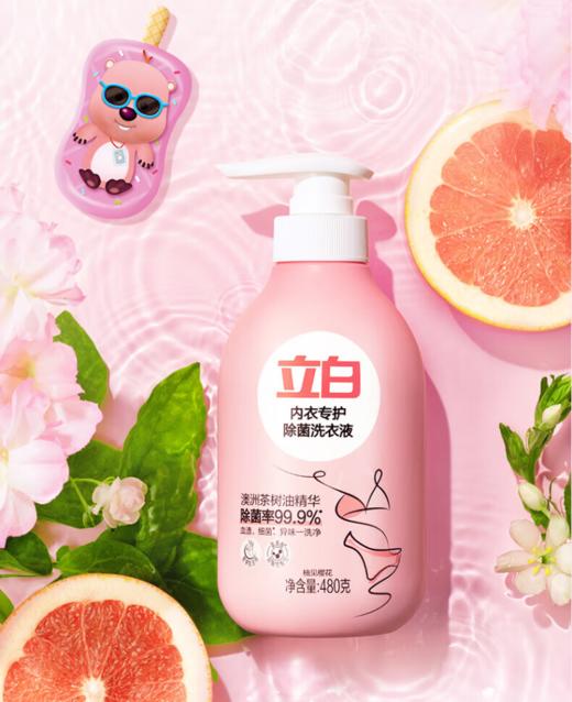 DH 立白内衣专护除菌洗衣液 250g 商品图0