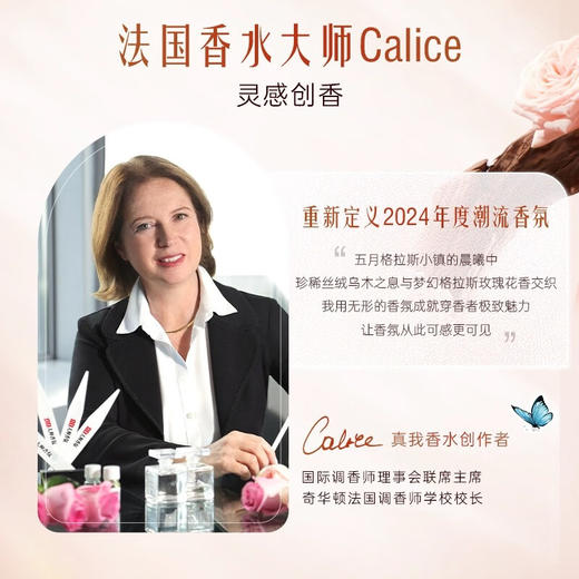 DH 立白大师香氛洗衣液丝绒乌木与玫瑰 500g*1袋 商品图2
