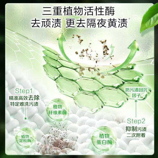 DH 立白卫仕除菌洗衣液青翠茶园 2kg*1瓶 商品图1