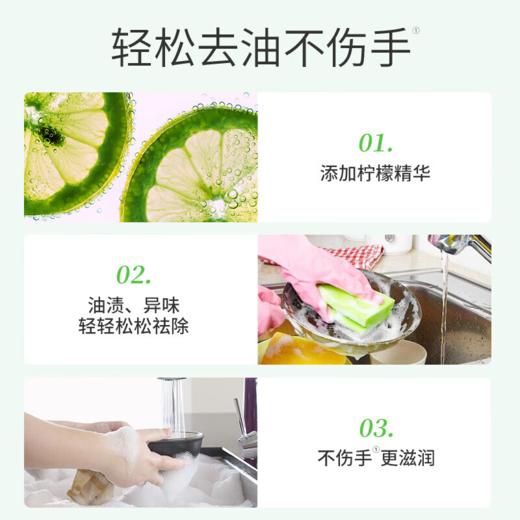 DH 立白金桔洗洁精 500g 商品图1