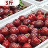 【预售】3斤 优选美早大樱桃   158275 商品缩略图0