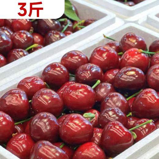 【预售】3斤 优选美早大樱桃   158275 商品图0