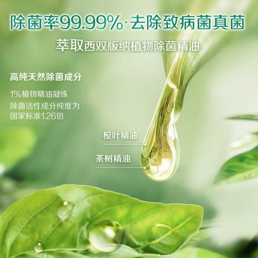 DH 立白卫仕除菌洗衣液雨林茶花 1kg*1瓶 商品图3