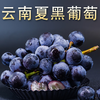 夏黑葡萄 商品缩略图0