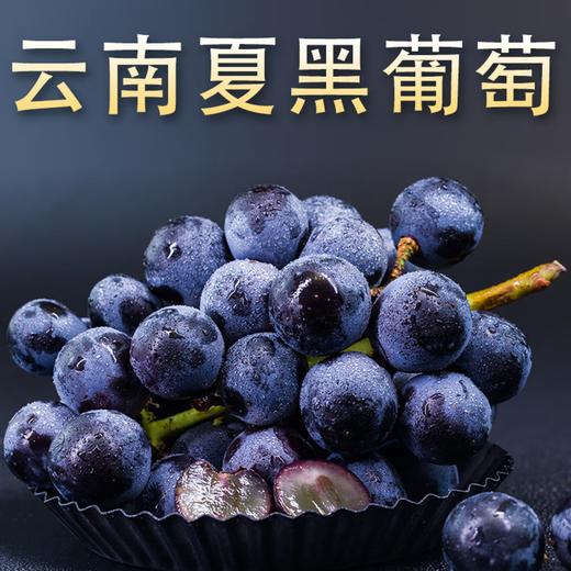 夏黑葡萄 商品图0