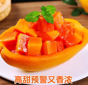 海南红心木瓜