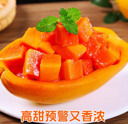 海南红心木瓜 商品图0