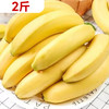 【预售】2斤 进口香蕉 约   9141 商品缩略图0