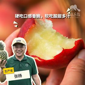 有机元江红宝石桃（预售，预计5月10日期开始陆续发货） | 合作生产*Organic ruby peach | Partner Production