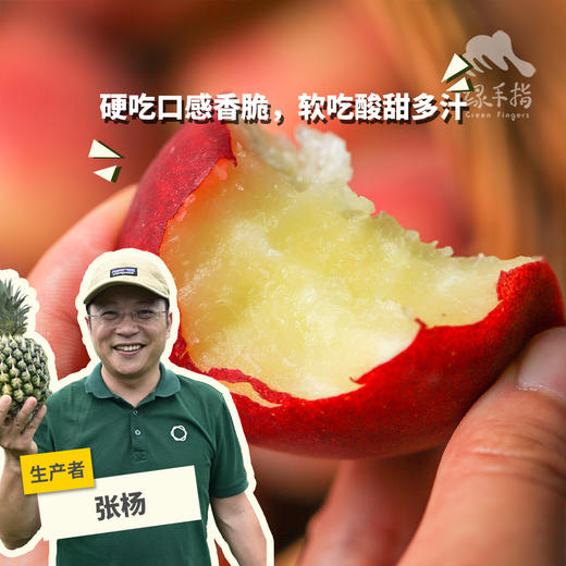 有机元江红宝石桃（预售，预计5月10日期开始陆续发货） | 合作生产*Organic ruby peach | Partner Production 商品图0