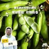 生态带荚鲜蚕豆（安徽 京东快递）| 合作生产*Ecological broad beans | Coproduction 商品缩略图0