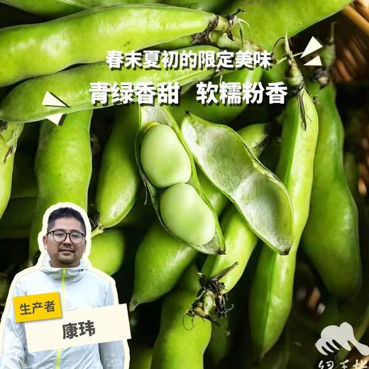 生态带荚鲜蚕豆（安徽 京东快递）| 合作生产*Ecological broad beans | Coproduction 商品图0