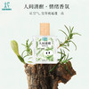 柅易『人间清醒』情绪香氛喷雾50ml 商品缩略图0