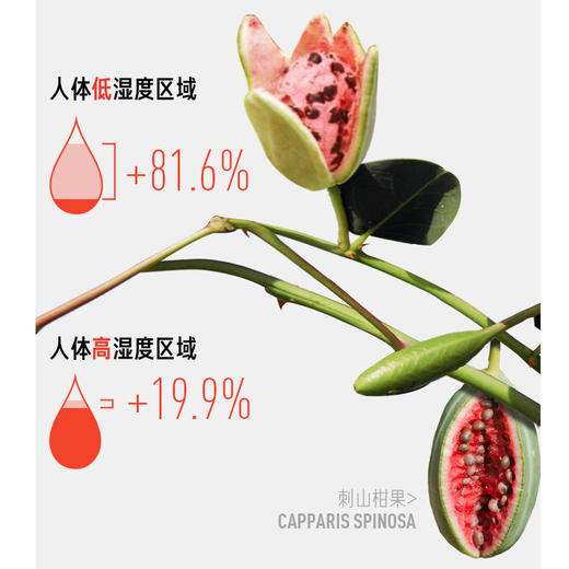毕生之研 厚脸皮3.0屏障修护精华水 205ml★ 商品图3
