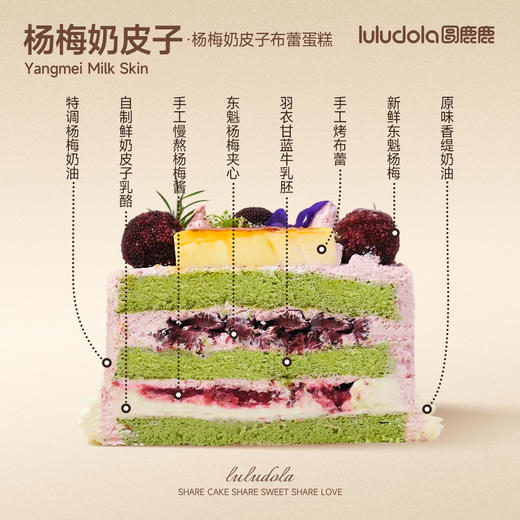 杨梅奶皮子 商品图1