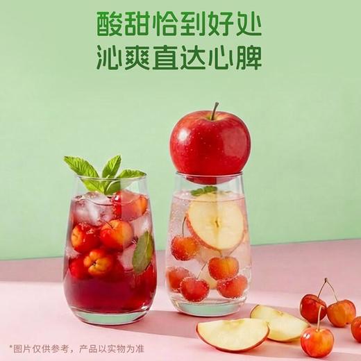 三得利针叶樱桃味维C饮果味饮料450ml 商品图3
