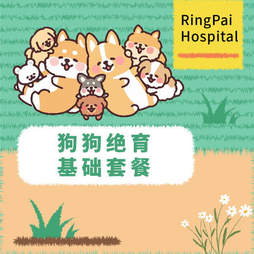 【到店服务】公犬绝育基础套餐 商品图0