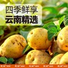 滇二娃土豆片麻辣味100g 商品缩略图3