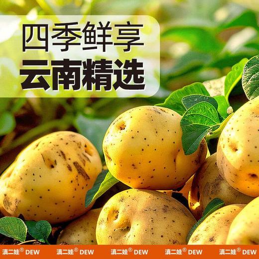 滇二娃土豆片麻辣味100g 商品图3