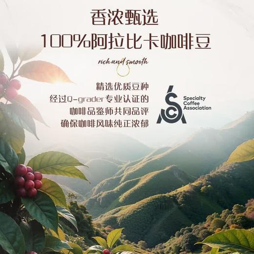 摩可纳浓缩咖啡液焦糖160ml 商品图3