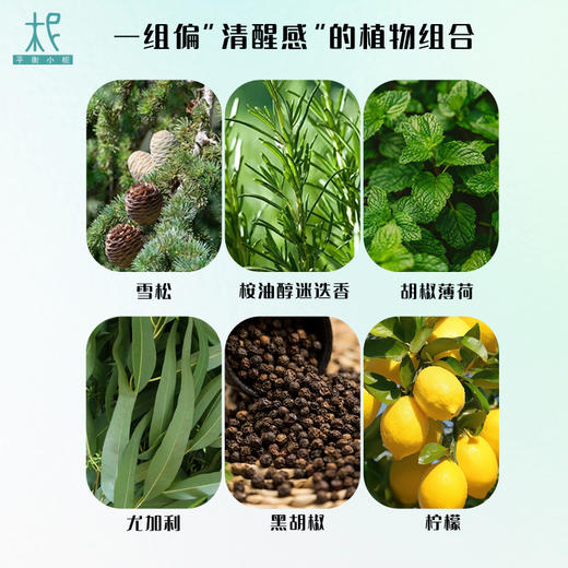 柅易『人间清醒』情绪香氛喷雾50ml 商品图2