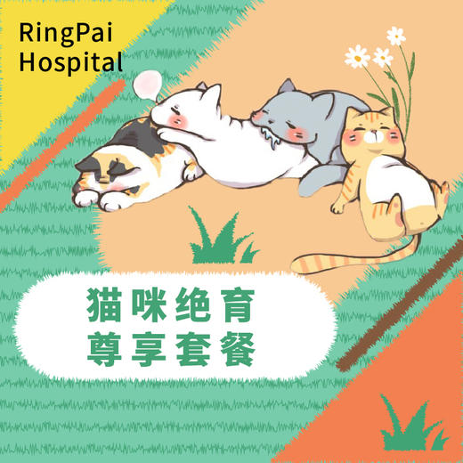 【到店服务】公猫绝育尊享套餐 商品图0