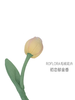 北京国贸｜Roflora-郁金香 多色合集 毛绒摆件 商品缩略图2