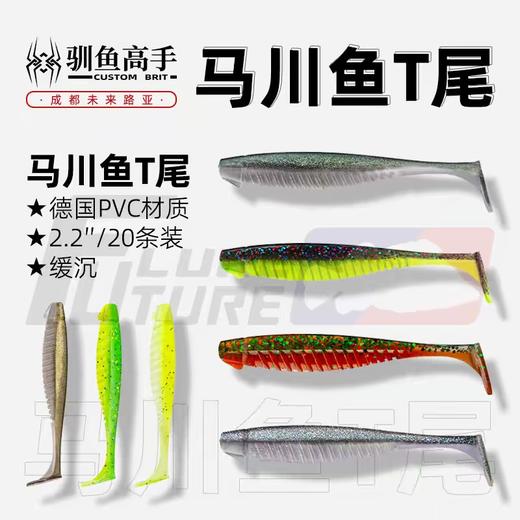 驯鱼高手马川鱼T尾软饵沉水路亚饵德州铅头钩假饵鳜鱼 商品图1
