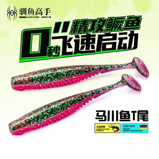 驯鱼高手马川鱼T尾软饵沉水路亚饵德州铅头钩假饵鳜鱼 商品图0