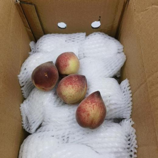 生态小红桃（邮政空运） | 合作生产*  Ecological peach | Partner Production 商品图3