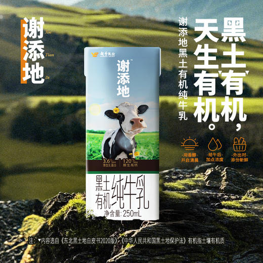 （仅发广东）谢添地苗条砖3.6g黑土有机纯牛乳  250mL/瓶×10 商品图0