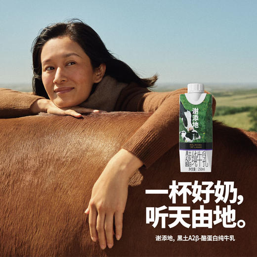（仅发广东）谢添地梦幻盖4.0g黑土A2纯牛奶  250ml/瓶*10 商品图0