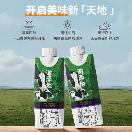 （仅发广东）谢添地梦幻盖4.0g黑土A2纯牛奶  250ml/瓶*10 商品图1