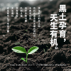 （仅发广东）谢添地苗条砖3.6g黑土有机纯牛乳  250mL/瓶×10 商品缩略图2