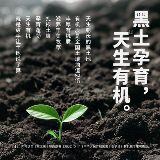 （仅发广东）谢添地苗条砖3.6g黑土有机纯牛乳  250mL/瓶×10 商品图2
