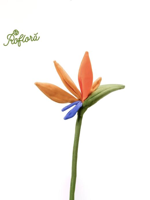 北京国贸｜Roflora-天堂鸟 毛绒摆件 商品图0