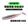 驯鱼高手马川鱼T尾软饵沉水路亚饵德州铅头钩假饵鳜鱼 商品缩略图3
