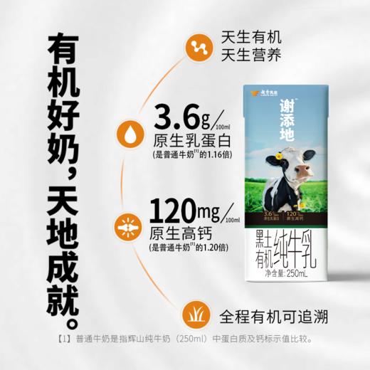 （仅发广东）谢添地苗条砖3.6g黑土有机纯牛乳  250mL/瓶×10 商品图1