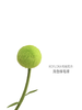 北京国贸｜Roflora-浅色 绿毛球 毛绒摆件 商品缩略图0