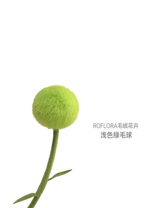 北京国贸｜Roflora-浅色 绿毛球 毛绒摆件 商品图0