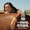 （仅发广东）谢添地梦幻盖4.3g黑土娟姗纯牛奶 250ml/瓶*10 商品缩略图0