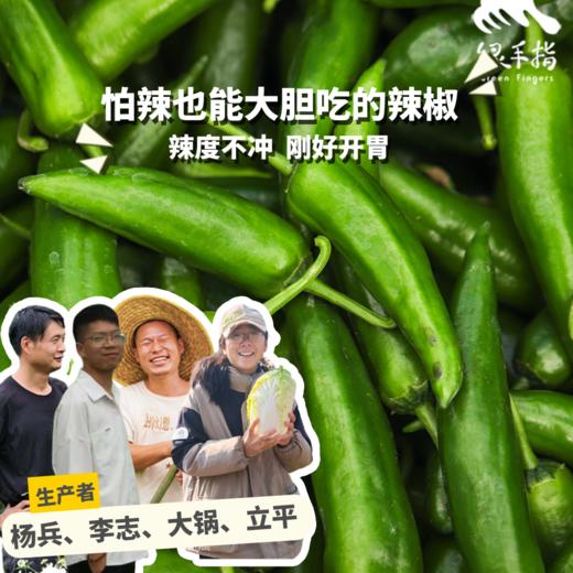 生态牛角椒 | 绿家自产*Ecological Cayenne pepper | Self-production 商品图0