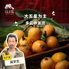 生态枇杷 | 合作生产*Ecological loquat | Coproduction 商品缩略图0