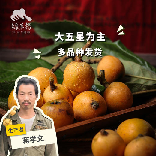 生态枇杷 | 合作生产*Ecological loquat | Coproduction 商品图0
