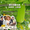 生态蒲瓜 | 绿家自产*Eco-white flowered gourd | Self-production 商品缩略图0